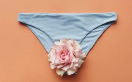 7 Bentuk Labia Miss V, Gak Semua Perempuan Sama Persis - IDNCash