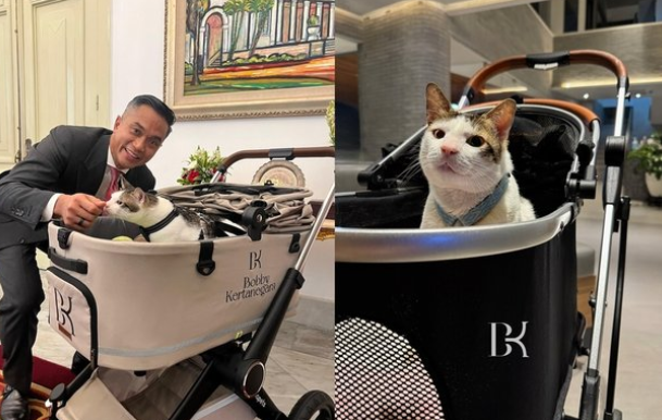 Bobby Kertanegara, Kucing Presiden Prabowo Penghuni Istana - IDNCash